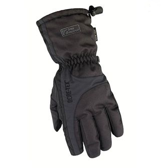 Chamonix Gtx Gloves